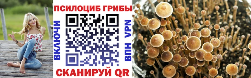 блэк спрут маркетплейс  Курильск  Псилоцибиновые грибы мухоморы 